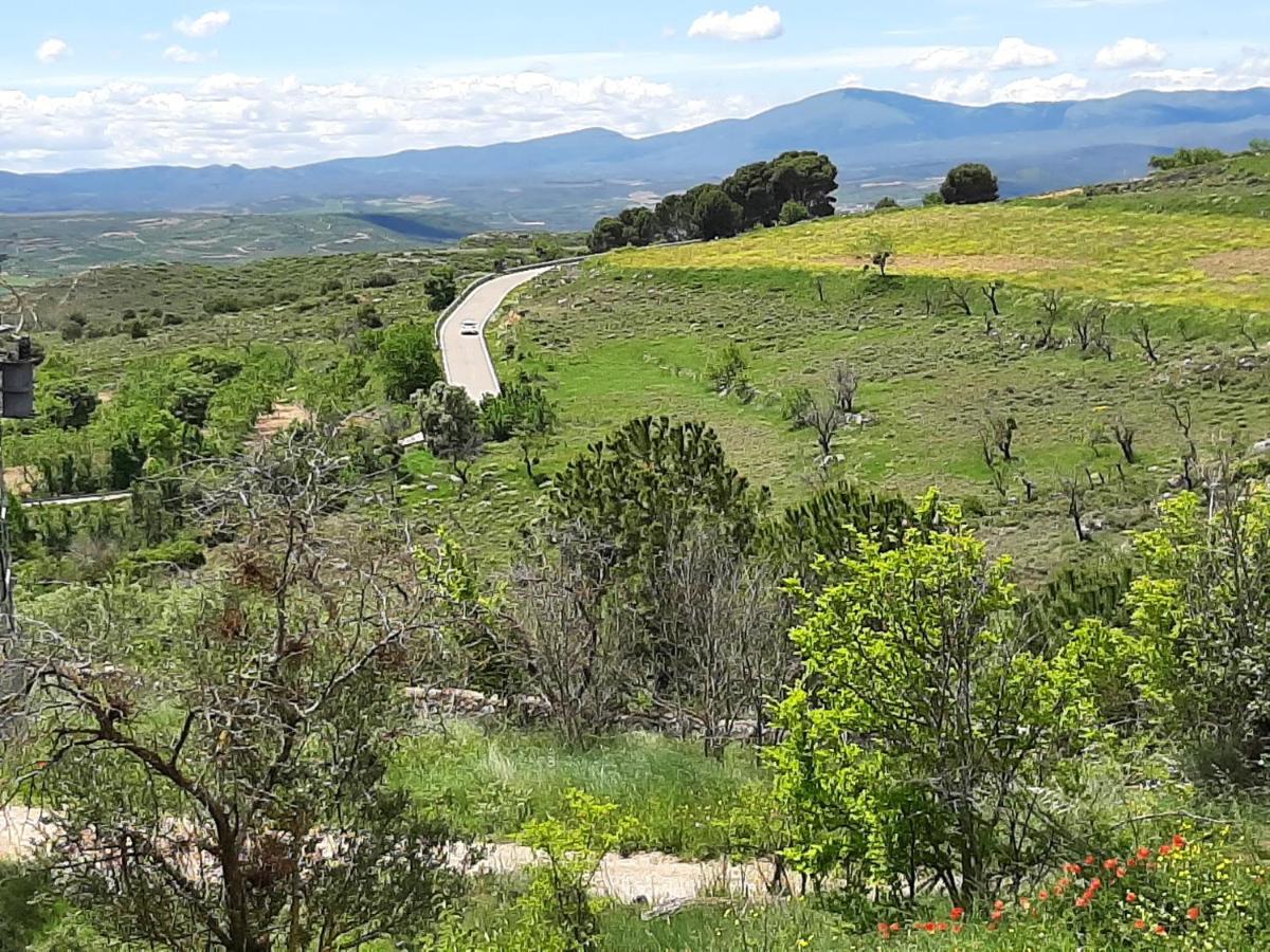 Casa Rural "Eccehomo De Borja" エクステリア 写真