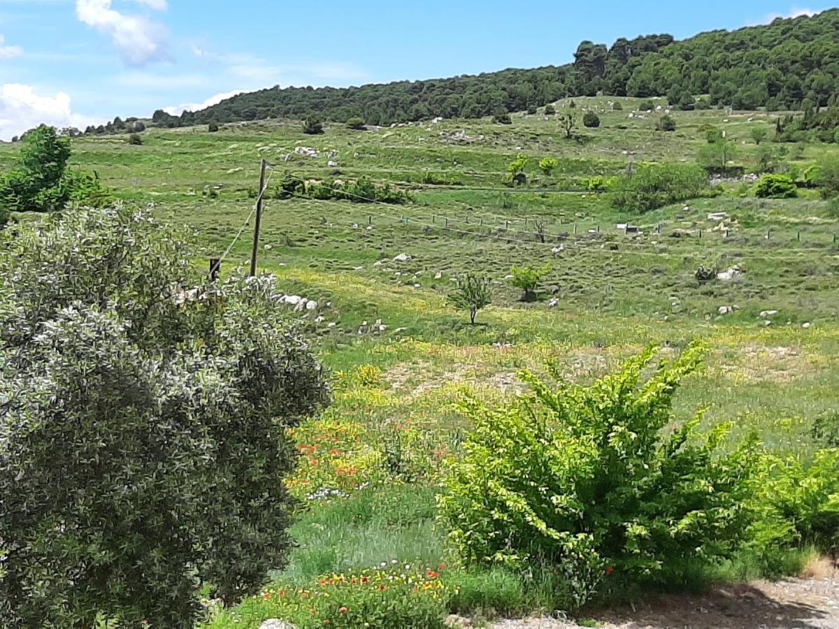 Casa Rural "Eccehomo De Borja" エクステリア 写真