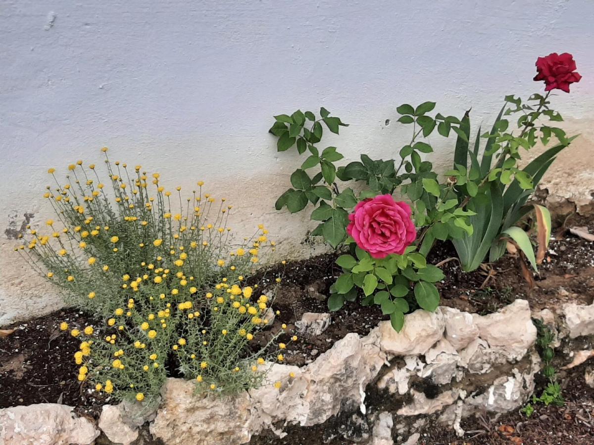 Casa Rural "Eccehomo De Borja" エクステリア 写真