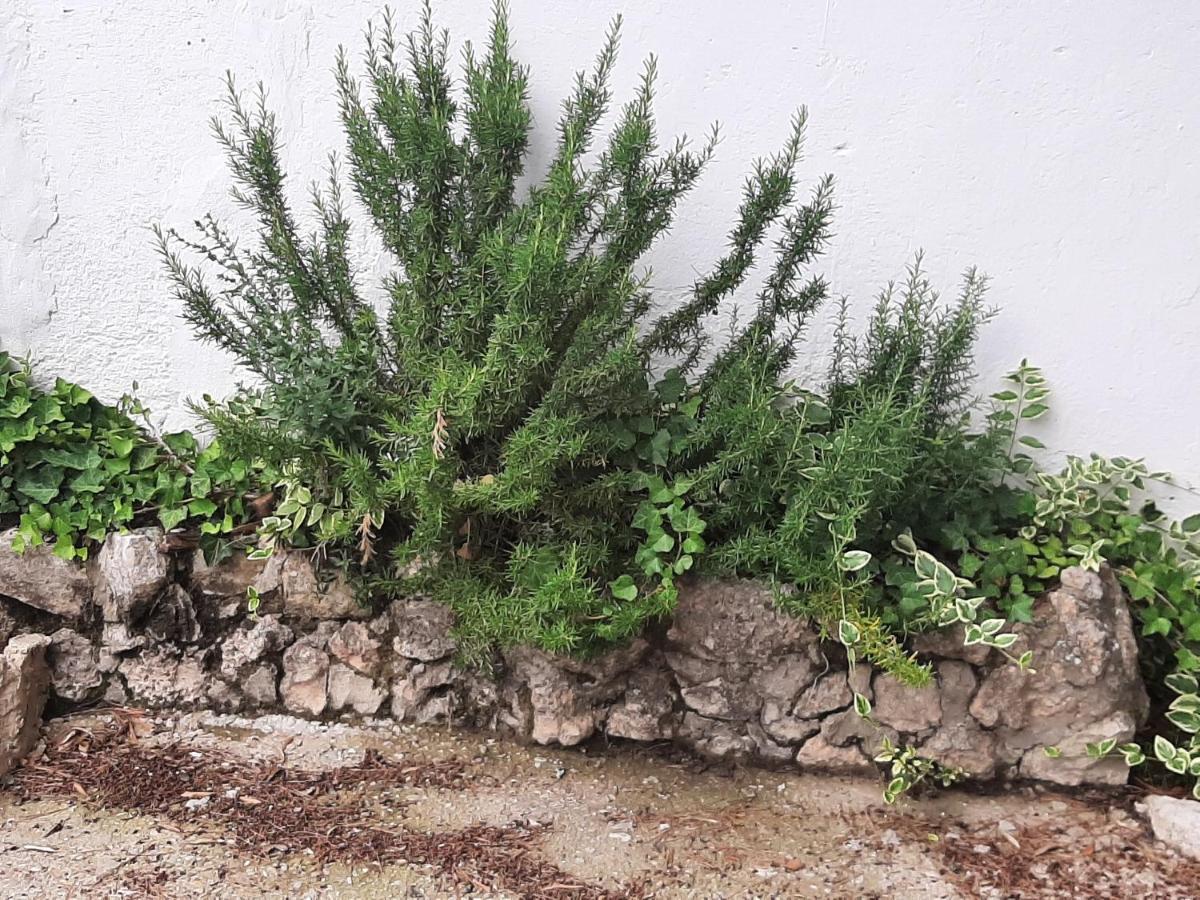 Casa Rural "Eccehomo De Borja" エクステリア 写真