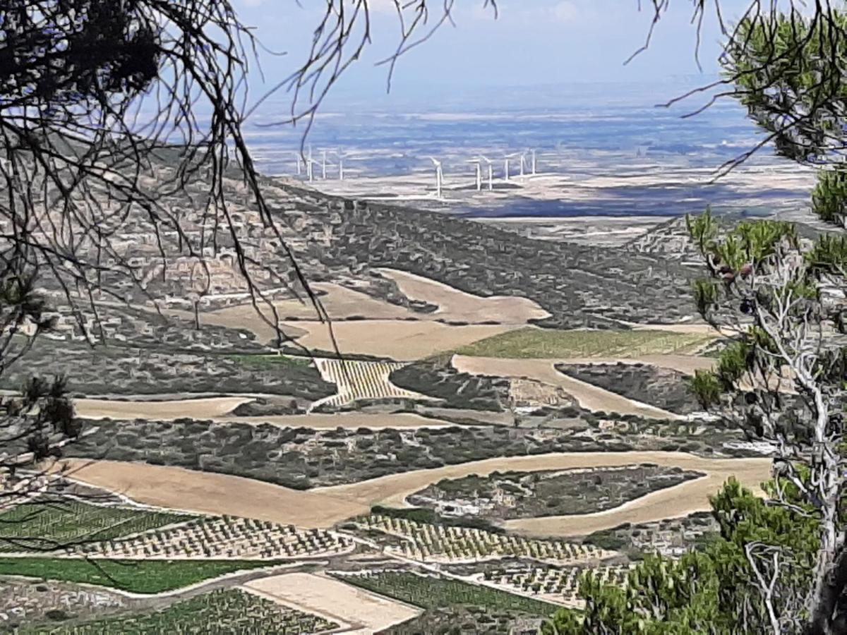 Casa Rural "Eccehomo De Borja" エクステリア 写真