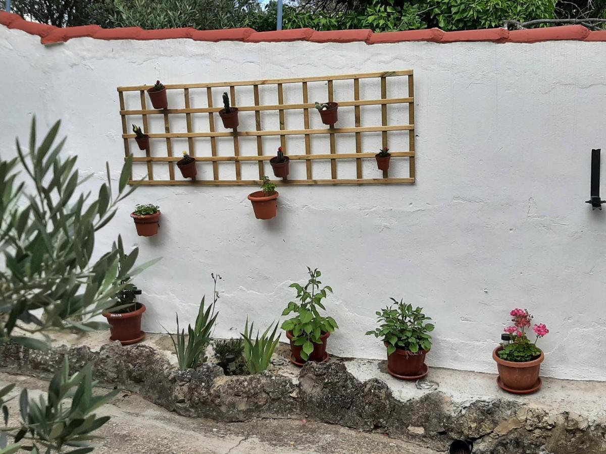 Casa Rural "Eccehomo De Borja" エクステリア 写真