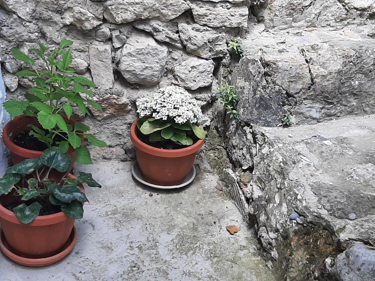 Casa Rural "Eccehomo De Borja" エクステリア 写真