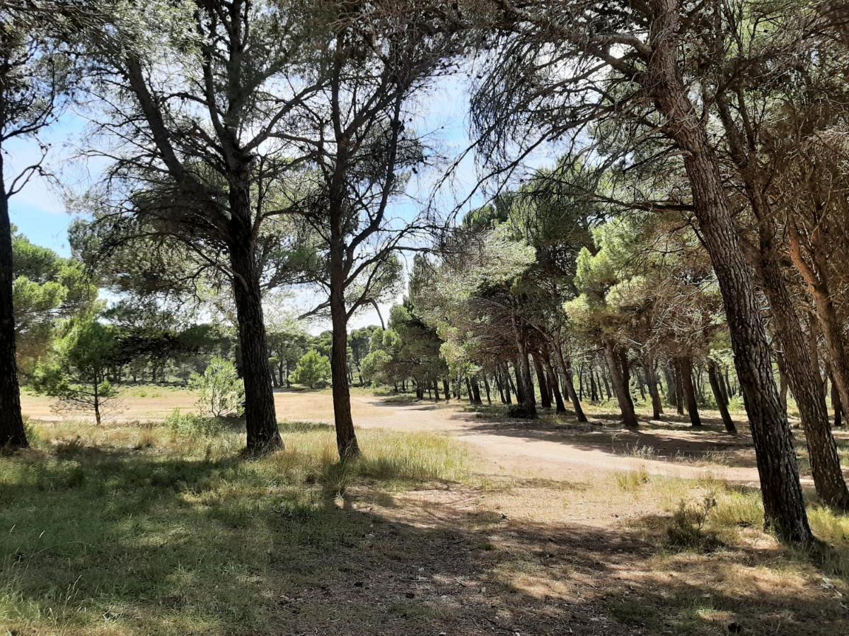 Casa Rural "Eccehomo De Borja" エクステリア 写真