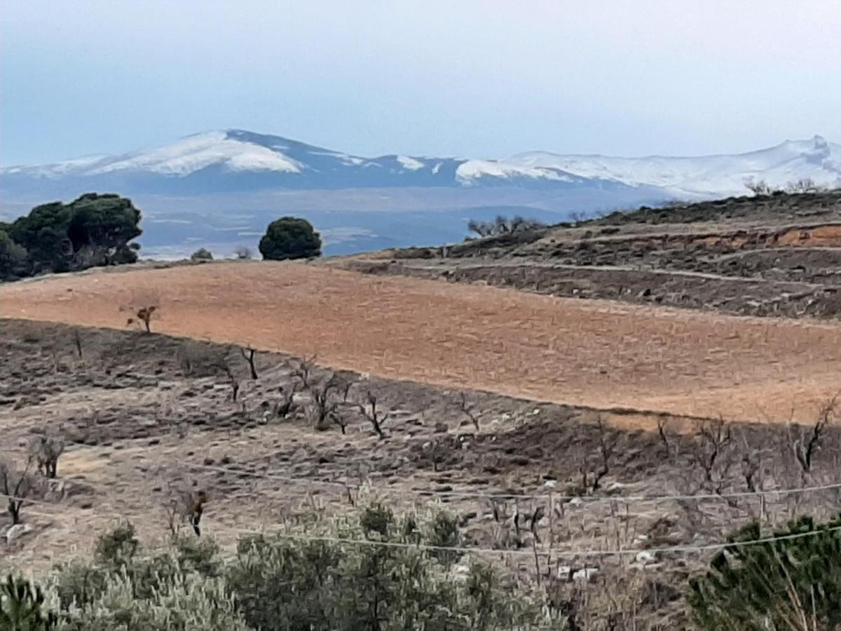 Casa Rural "Eccehomo De Borja"ゲストハウス エクステリア 写真